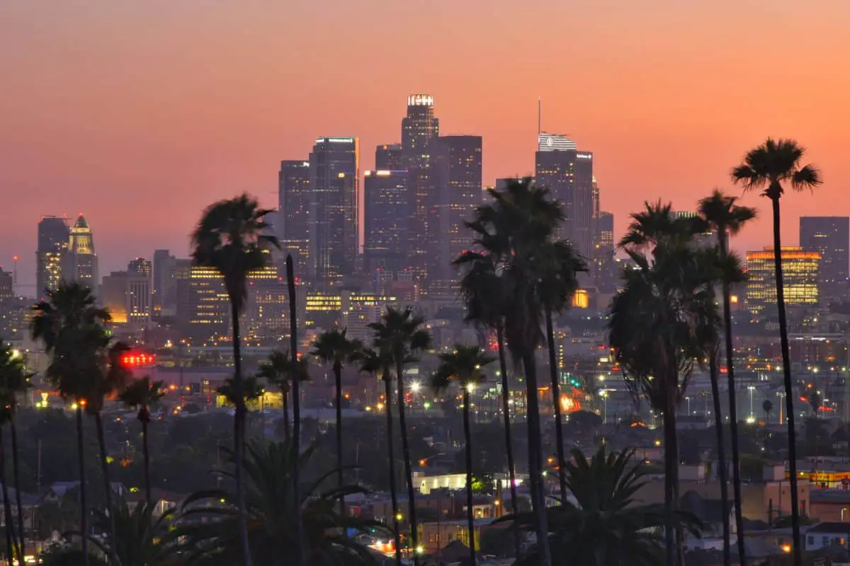 twilight skyline of los angeles california with palm trees and cityscape with city lights