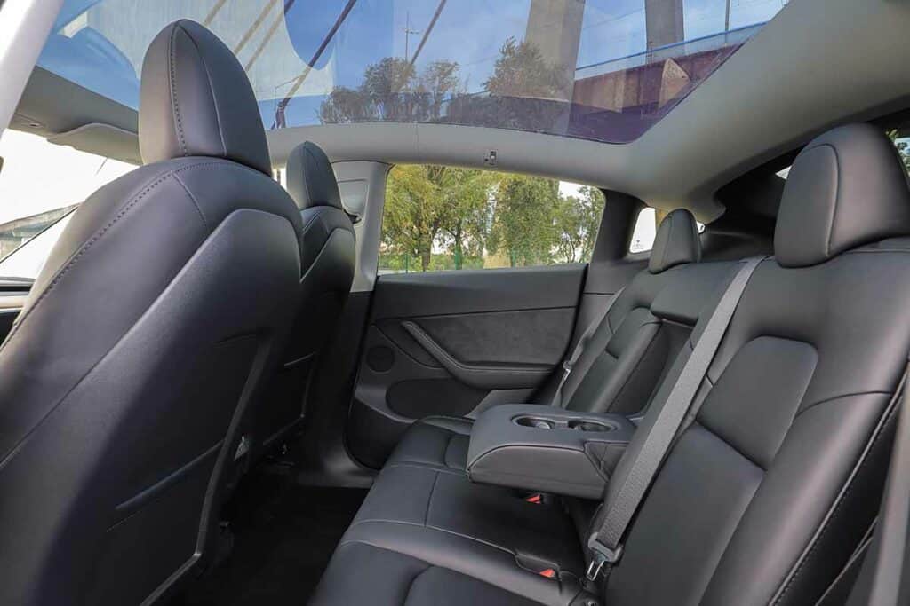 Best Cleaner For Tesla Vegan Leather Seats (4 Top Picks) Zevfacts