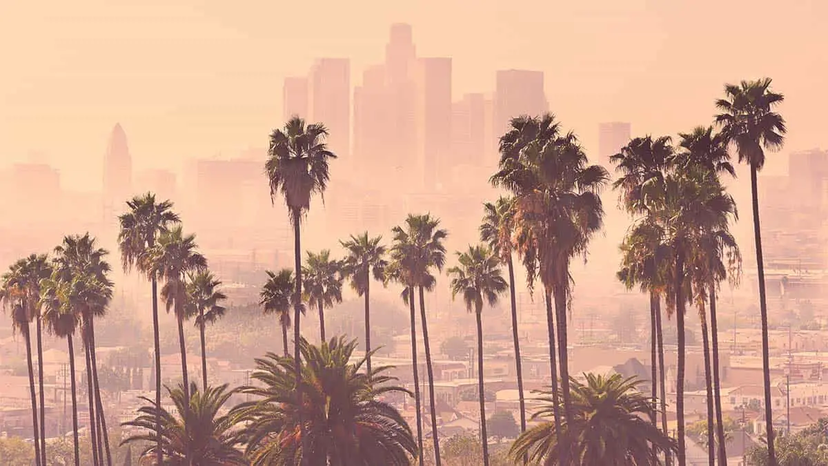 smog skyline los angeles with palm trees in foreground city centre in background