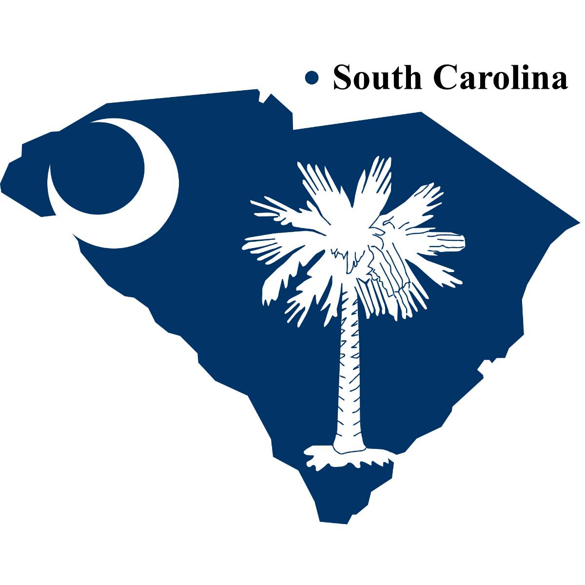 South Carolina State map cutout with South Carolina flag superimposed