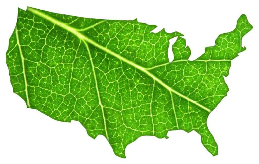 map of usa superimposed leaf